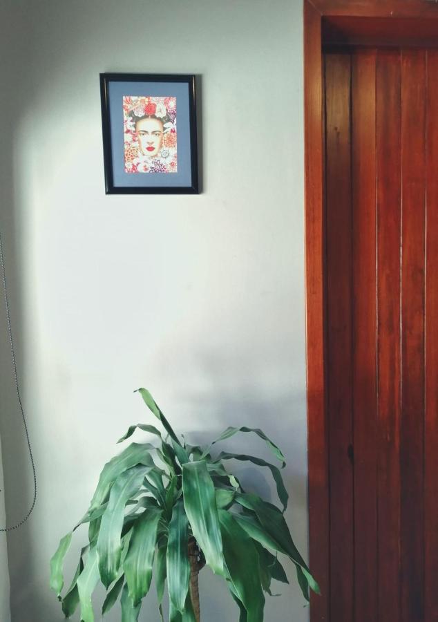 特皮克 Casa Violeta旅舍 外观 照片