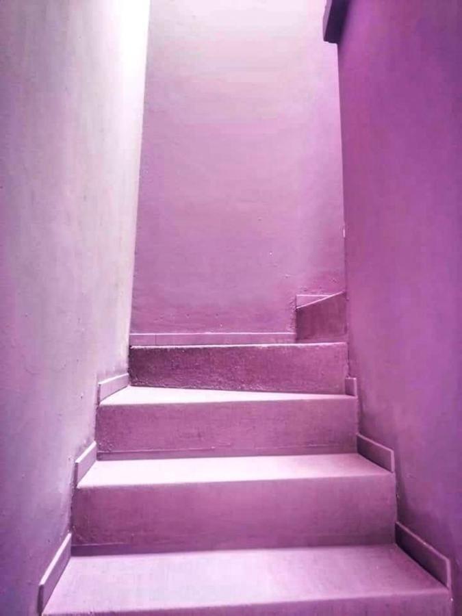 特皮克 Casa Violeta旅舍 外观 照片